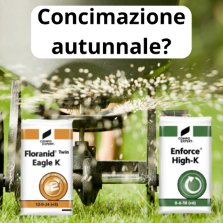 Il potassio dentro la pianta: un elemento che non costruisce, ma regola